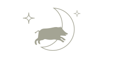 Icon image of pig outline in front of the moon
